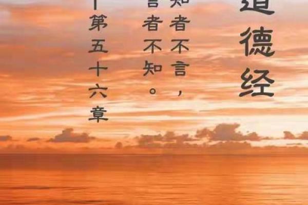 道德经智慧在运动场：人生的竞技与和谐