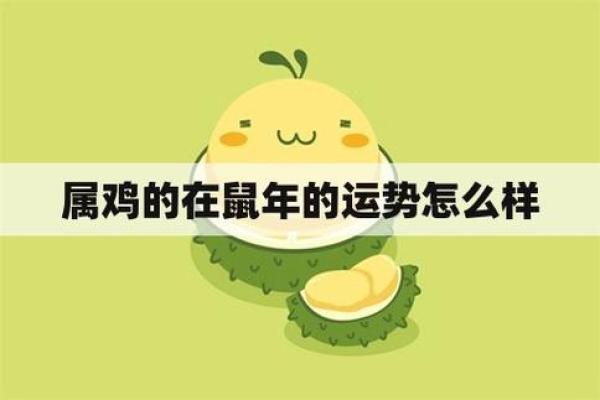 属鸡的人生运势与命理分析:24岁这一年将迎来怎样的机遇与挑战? 属鸡的人生运势与命理分析:24岁这一年将迎来怎样的机遇与挑战?