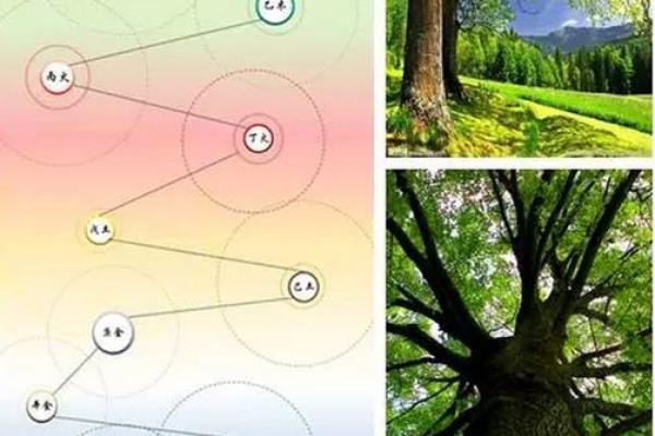 农历四月二十九出生的人:命运与性格的深度解析 农历四月二十九出生的人:命运与性格的深度解析