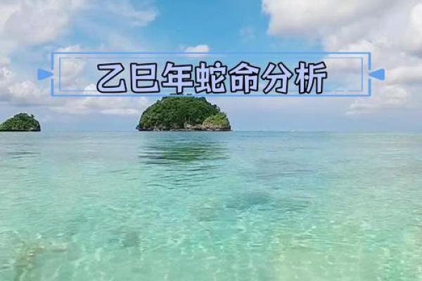 属蛇一月份出生女性的命运分析与生活智慧 属蛇一月份出生女性的命运分析与生活智慧