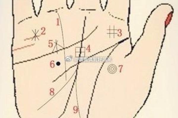 揭示手纹三角形的秘密:命运与性格的深度解读 揭示手纹三角形的秘密:命运与性格的深度解读