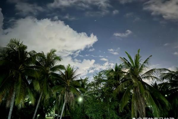 清闲安定的命格:让生活如诗如画的心灵之旅 清闲安定的命格:让生活如诗如画的心灵之旅