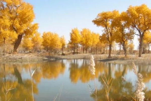 十月山头火的命缺:如何化解运势中的不利因素 十月山头火的命缺:如何化解运势中的不利因素