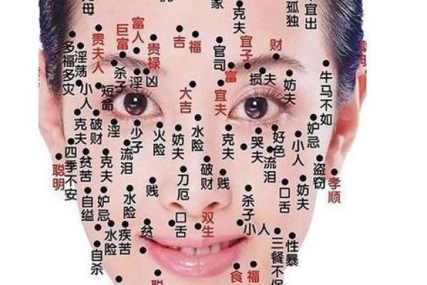 高命天子命格：女人的命运与智慧之结合