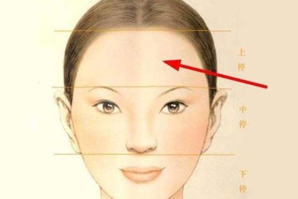 女人天庭高度与命运的微妙关系探讨 女人天庭高度与命运的微妙关系探讨