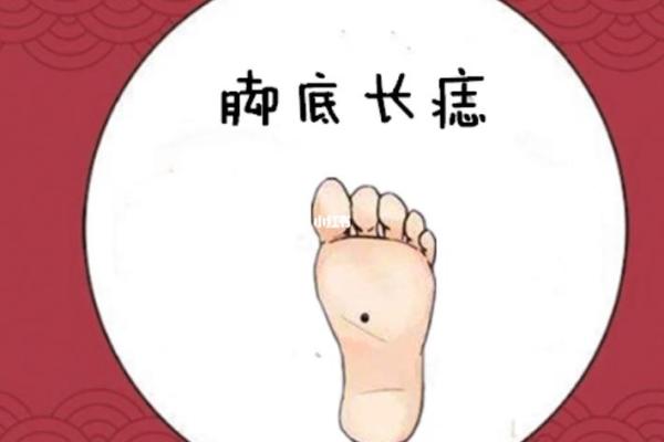 脚趾形状与命运:什么样的脚趾是富贵命的标志? 脚趾形状与命运:什么样的脚趾是富贵命的标志?