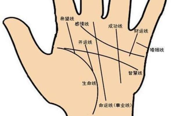 三角手纹揭示命运:你掌握的生命密码! 三角手纹揭示命运:你掌握的生命密码!