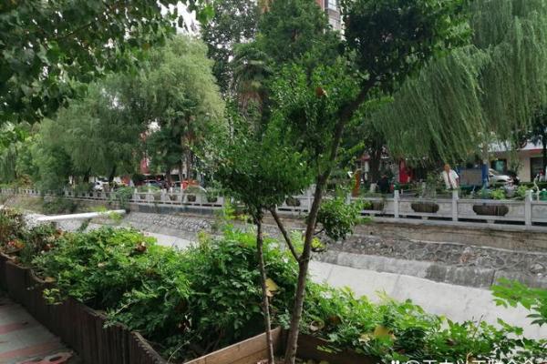 清闲自在命：生活中的随心所欲与内心的平和