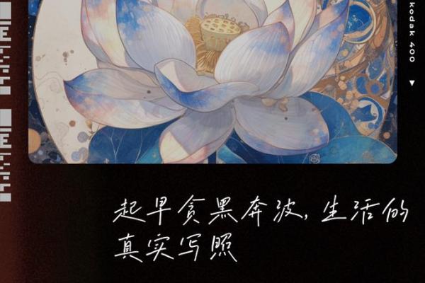 属兔人火命的最佳配色,点亮生活的每一天! 属兔人火命的最佳配色,点亮生活的每一天!