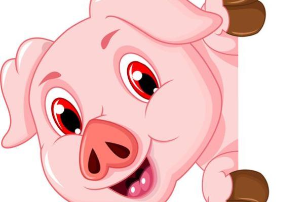 属兔人火命的最佳配色,点亮生活的每一天! 属兔人火命的最佳配色,点亮生活的每一天!