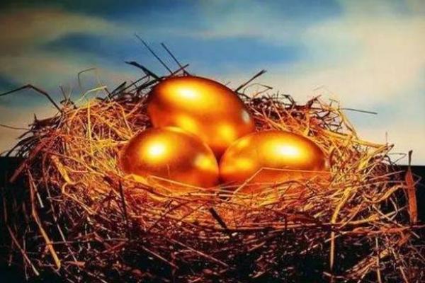 女命无正财解析:财富与人生的启示 女命无正财解析:财富与人生的启示