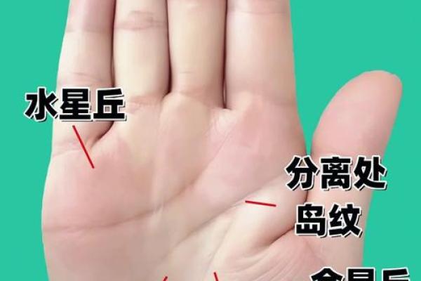 如何测一个人是什么命格:深度解析命理与人生的奥秘 如何测一个人是什么命格:深度解析命理与人生的奥秘