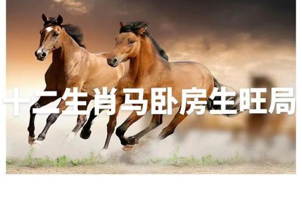 生肖马五十六岁后的命运解析:智慧与福气的交汇点 生肖马五十六岁后的命运解析:智慧与福气的交汇点