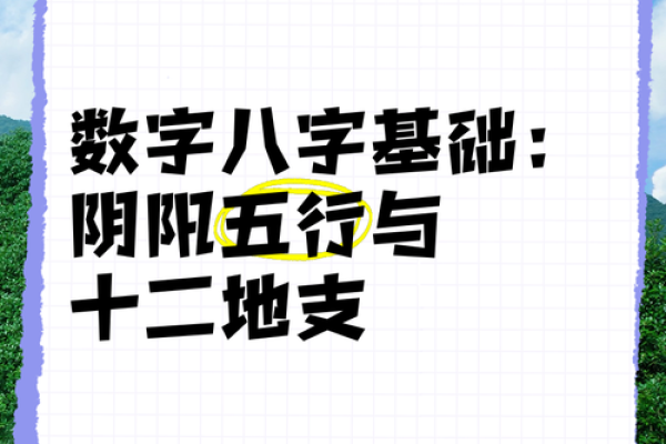 十二地支与五行命理：探秘你的命运之钥