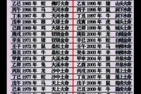 属鸡2017年出生的命运解析：鸡年宝宝的五行影响与人生启示