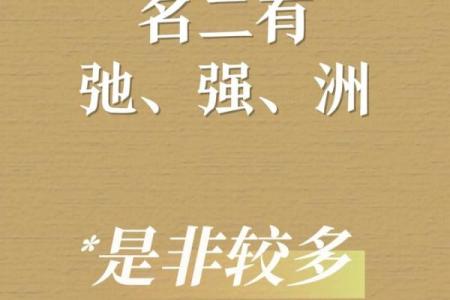 属猴人的2023年：智慧与机遇的双重之旅