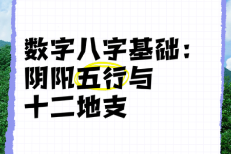 十二地支与五行命理：探秘你的命运之钥