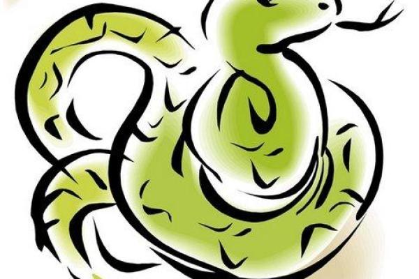 属蛇1965年出生的人命运解析与人生规划 属蛇1965年出生的人命运解析与人生规划