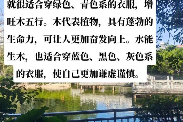 属虎人五行缺土的命理解析与生活建议 属虎人五行缺土的命理解析与生活建议