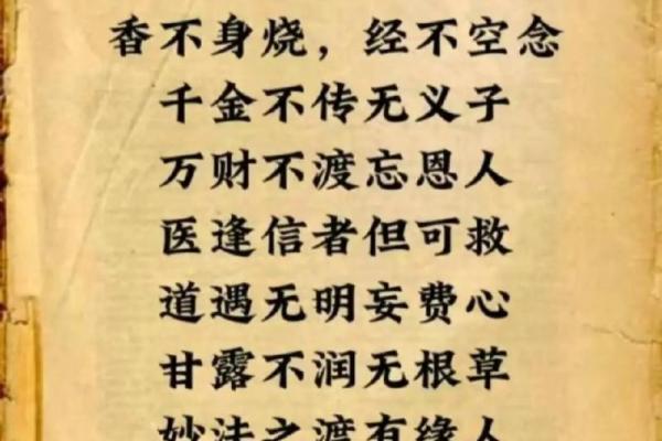 揭秘与道有缘的命格:如何把握生命中的机遇与挑战 揭秘与道有缘的命格:如何把握生命中的机遇与挑战
