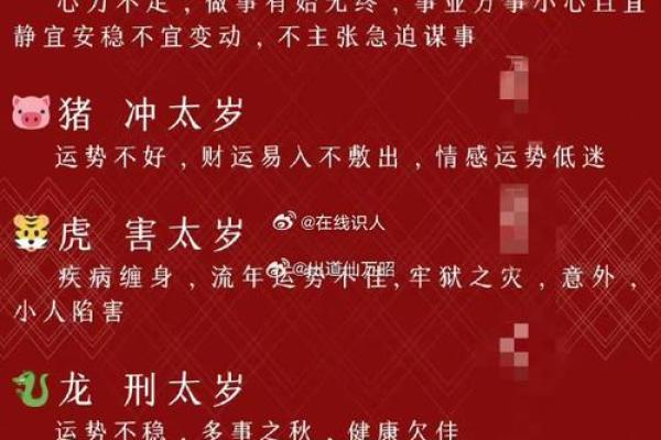 属虎与属龙命人的性格与命运探秘