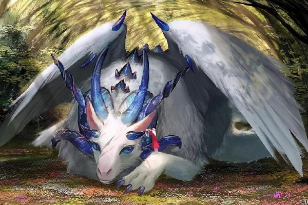 山头火命男适合养哪些宠物？探寻命理与动物的奇妙联系