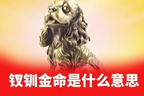 女金命男水命的相互影响与和谐之道