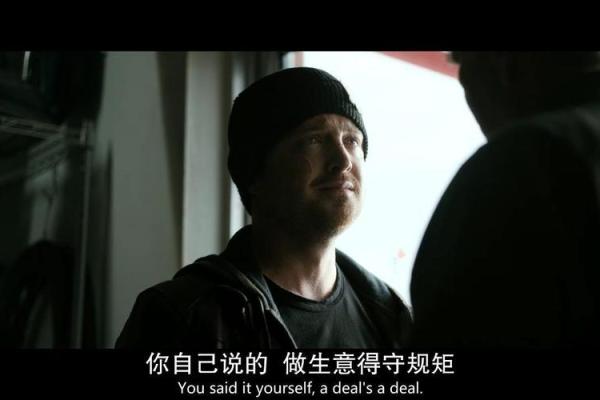 神秘双命：揭秘那些与众不同的双命之人