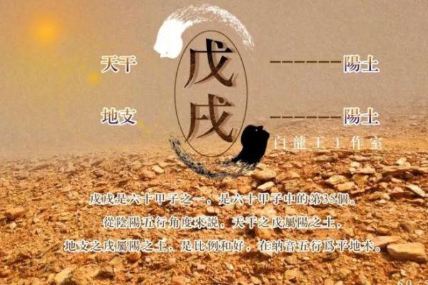 壬戌年出生的人命运探秘:性格特征与人生方向 壬戌年出生的人命运探秘:性格特征与人生方向