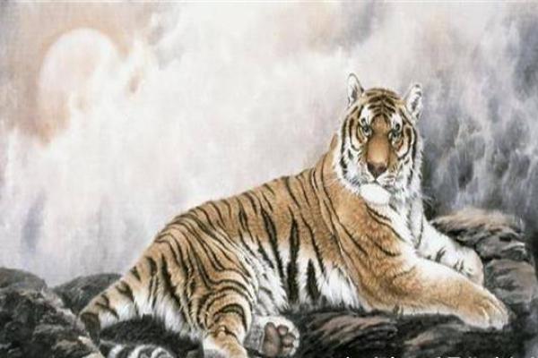 属虎秋天出生的人命运解析:勇敢与智慧的结合之路 属虎秋天出生的人命运解析:勇敢与智慧的结合之路