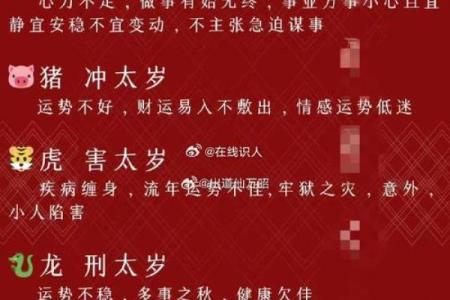 属虎与属龙命人的性格与命运探秘