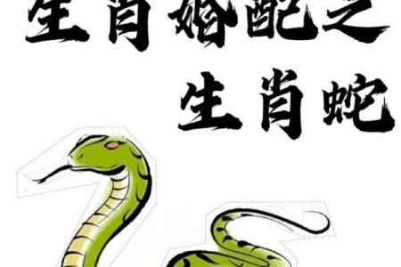 神秘优雅的蛇女：生肖蛇女性的命运解读与生活智慧