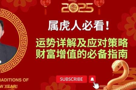 属虎金命佩戴什么好？深入探讨提升运势的饰品选择！