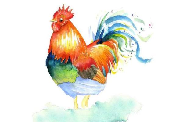 属鸡金命女与哪个命最合适?揭示最佳伴侣选择! 属鸡金命女与哪个命最合适?揭示最佳伴侣选择!