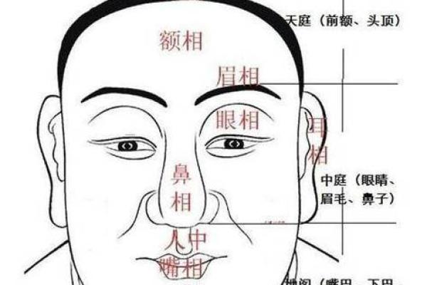 人丑命贵:看外貌与命运之间的微妙关系 人丑命贵:看外貌与命运之间的微妙关系