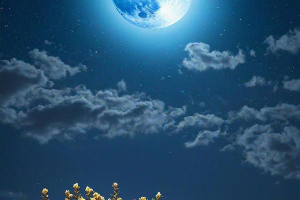 命中注定的出家缘分：寻找内心的归宿与宁静仰望