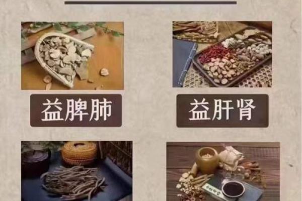 如何通过命理学了解自己的命中缺失，找到生命的平衡与和谐