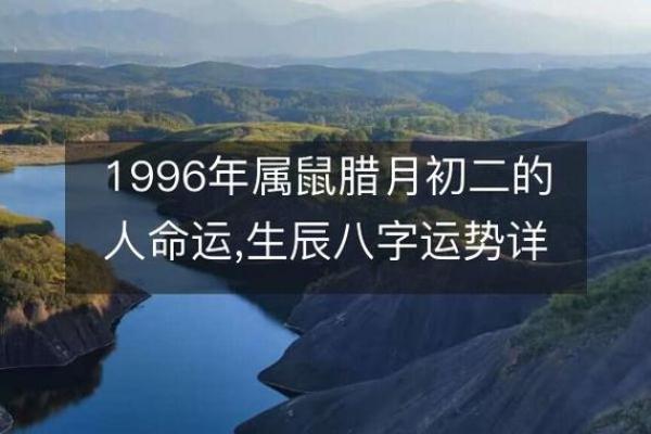 属鼠木命人士适合的职业选择与发展建议 属鼠木命人士适合的职业选择与发展建议