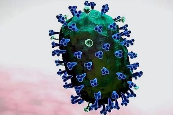 确诊新冠为何无法挽救生命:揭示隐藏在病毒背后的真相 确诊新冠为何无法挽救生命:揭示隐藏在病毒背后的真相