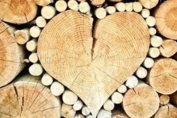 属虎命里缺木，如何选择合适的饰品？