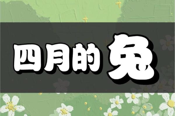 属兔人的命格解析:掌握命运之钥,开启幸福人生! 属兔人的命格解析:掌握命运之钥,开启幸福人生!