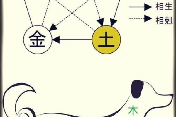 石榴木命的最佳水命解析:水在五行中的重要性与相生关系 石榴木命的最佳水命解析:水在五行中的重要性与相生关系