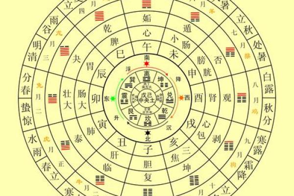 揭秘女人兑命的命理特征与人生轨迹