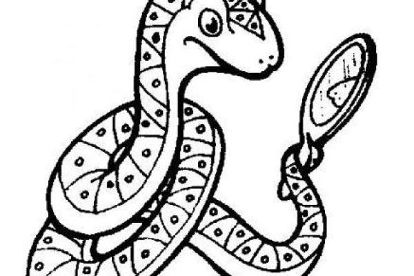 属蛇之人:五月命理揭秘,解锁人生潜力! 属蛇之人:五月命理揭秘,解锁人生潜力!