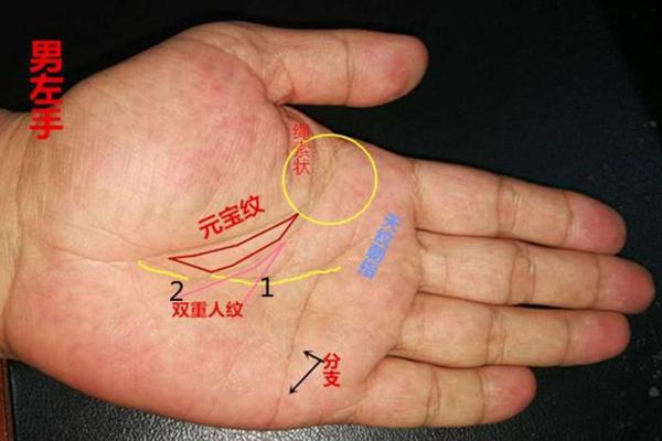 男命日坐食神,财富与智慧的双重解析 男命日坐食神,财富与智慧的双重解析