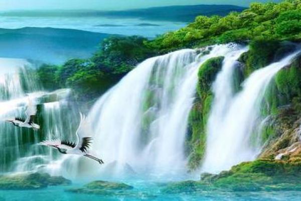 九月初六出生的人:命理解析与人生指引 九月初六出生的人:命理解析与人生指引