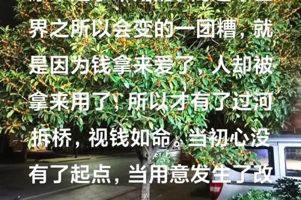 视钱如命：探讨金钱在现代生活中的重要性与影响