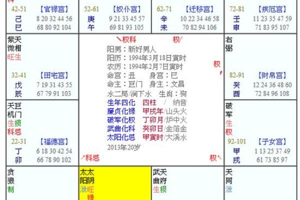 属狗人命格解读:年运、性格与发展机会的全解析 属狗人命格解读:年运、性格与发展机会的全解析