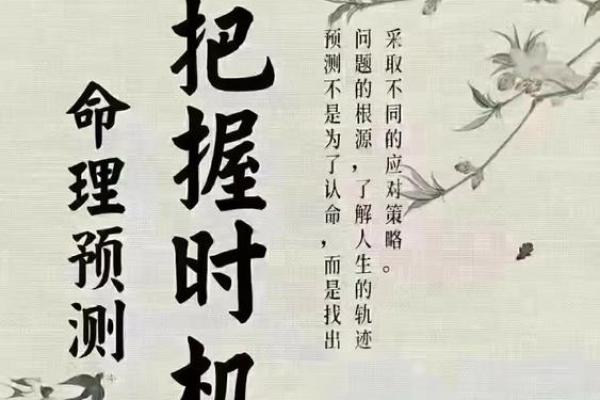 壬寅虎年初六:命理解析与人生启示 壬寅虎年初六:命理解析与人生启示