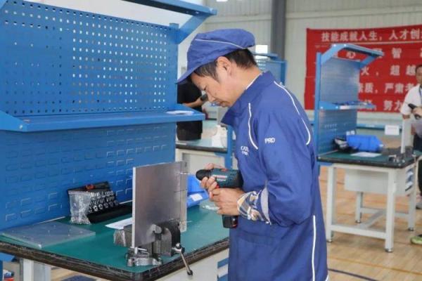 生命的电池续命：科技赋能健康新篇章